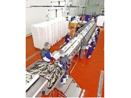 Denizden 140 milyon dolar çıkardı, Kuveytli ortak geldi