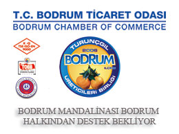 Bodrum Mandalinası Bodrum Halkından Destek Bekliyor