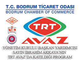 YK Başkan Yrd. Sayın İbrahim Akkaya TRT Avaz Yaz Sohbetleri