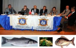 Bodrum Balığı Mandalina Gibi Marka Olacak