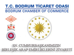 Sn. Cumhurbaşkanımızın Birleşik Arap Emirliklerini Ziyareti