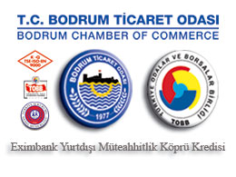 Eximbank Yurtdışı Müteahhitlik Köprü Kredisi