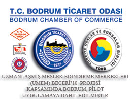 Beceri’10 Projesi Kapsamında Bodrum, Pilot Uygulamaya Dahil Edilmiştir