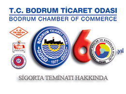 Sigorta Teminatı Hakkında