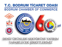 DENİZ ÜRÜNLERİ SEKTÖRÜNE YATIRIM YAPABİLECEK ŞİRKETLERİMİZ