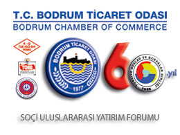 Soçi Uluslararası Yatırım Forumu