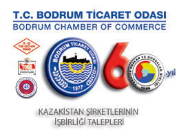 Kazakistan Şirketlerinin İşbirliği Talepleri