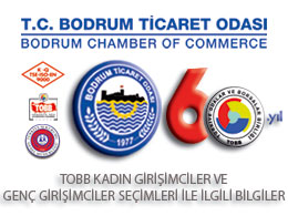 TOBB Kadın Girişimciler ve Genç Girişimciler Seçimleri İle İlgili Bilgi