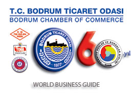 World Business Guide