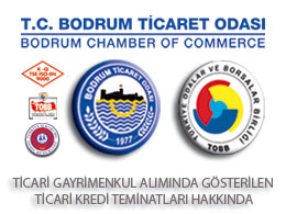 Ticari Gayrimenkul Alımında Gösterilen Ticari Kredi Teminatları Hakkında