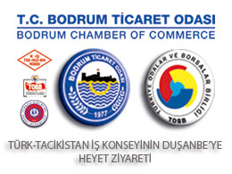 Türk-Tacikistan İş Konseyi'nin Duşanbe'ye Ziyareti