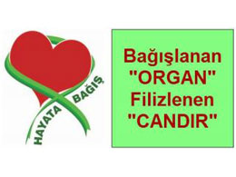 Bağışlanan "Organ" Filizlenen "Candır"