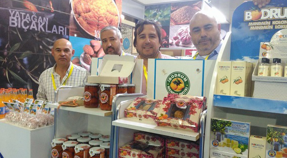 YÖREX’TE BODRUM MANDALİNASI