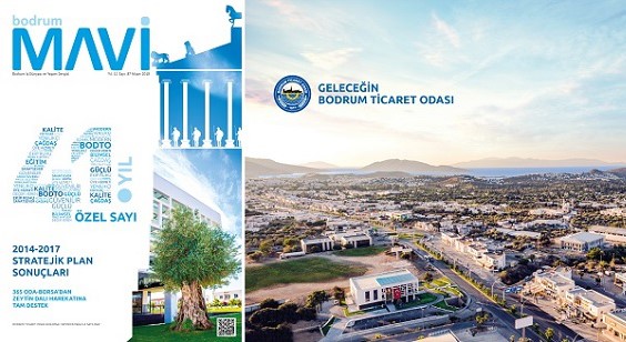 MAVİ DERGİ 41. YIL ÖZEL SAYISI