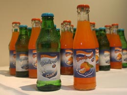 Bodrum Mandalinası Tescillendi