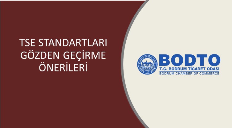 TSE STANDARTLARI GÖZDEN GEÇİRME ÖNERİLERİ