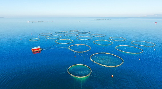 KILIÇ DENİZ ÖDÜL ALMAYA DEVAM EDİYOR