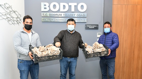 BODRUM’DA ÜRETTİKLERİ İSTİRİDYE MANTARINI TANITTILAR