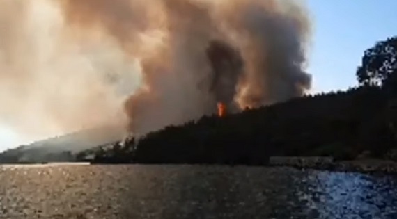 BAŞKAN KOCADON’DAN YANGINLAR HAKKINDA AÇIKLAMA