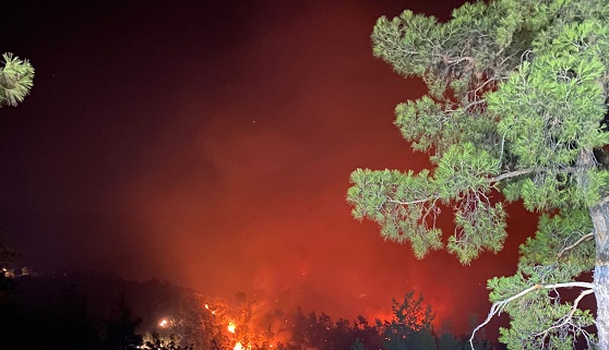 BODRUM'A GEÇMİŞ OLSUN...