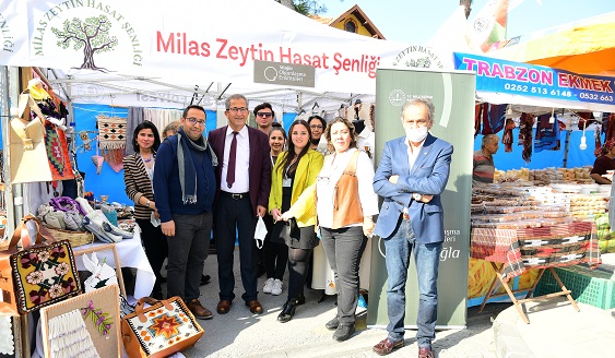 MİLAS ZEYTİN HASAT ŞENLİĞİNE KATILDIK