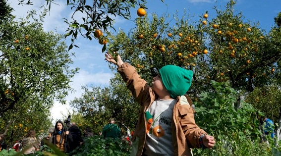 BODRUM’DA RENKLİ FESTİVAL