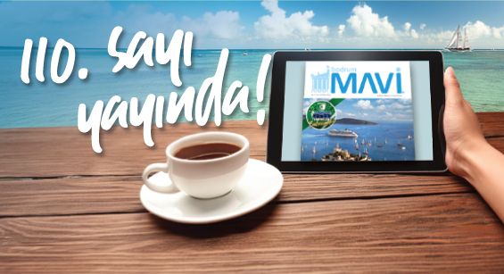 110. SAYIMIZ YAYINDA