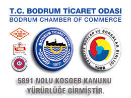 5891 nolu KOSGEB Kanunu yürürlüğe girmiştir.