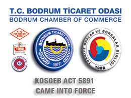KOSGEB act 5891 came into force