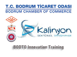 BODTO Innovation Training