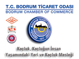 Koçluk, Koçluğun İnsan Yaşamındaki Yeri ve Koçluk Mesleği