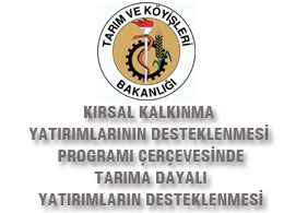 Kırsal Kalkınma Yatırımlarının Desteklenmesi Programı