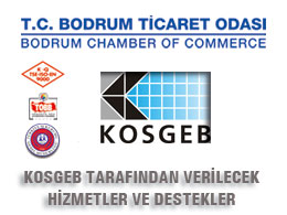 KOSGEB tarafından verilecek hizmetler ve destekler