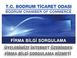 Üyelerimize internet üzerinden bilgi sorgulama hizmeti