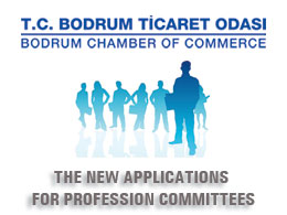 The new applications for profession Committees