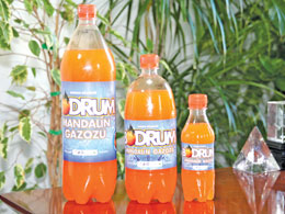 Bodrum Mandalina Gazozu pet şişelerde