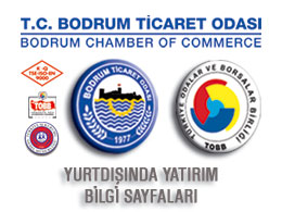 Yurtdışında Yatırım Bilgi Sayfaları