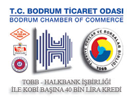 TOBB-Halkbankası İşbirliğiyle Kobi Başına 40 Bin Lira Kredi