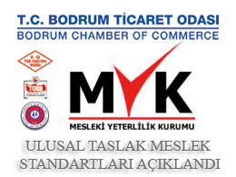 Ulusal taslak meslek standartları açıklandı