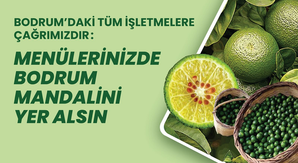 MENÜLERİNİZDE BODRUM MANDALİNİ YER ALSIN