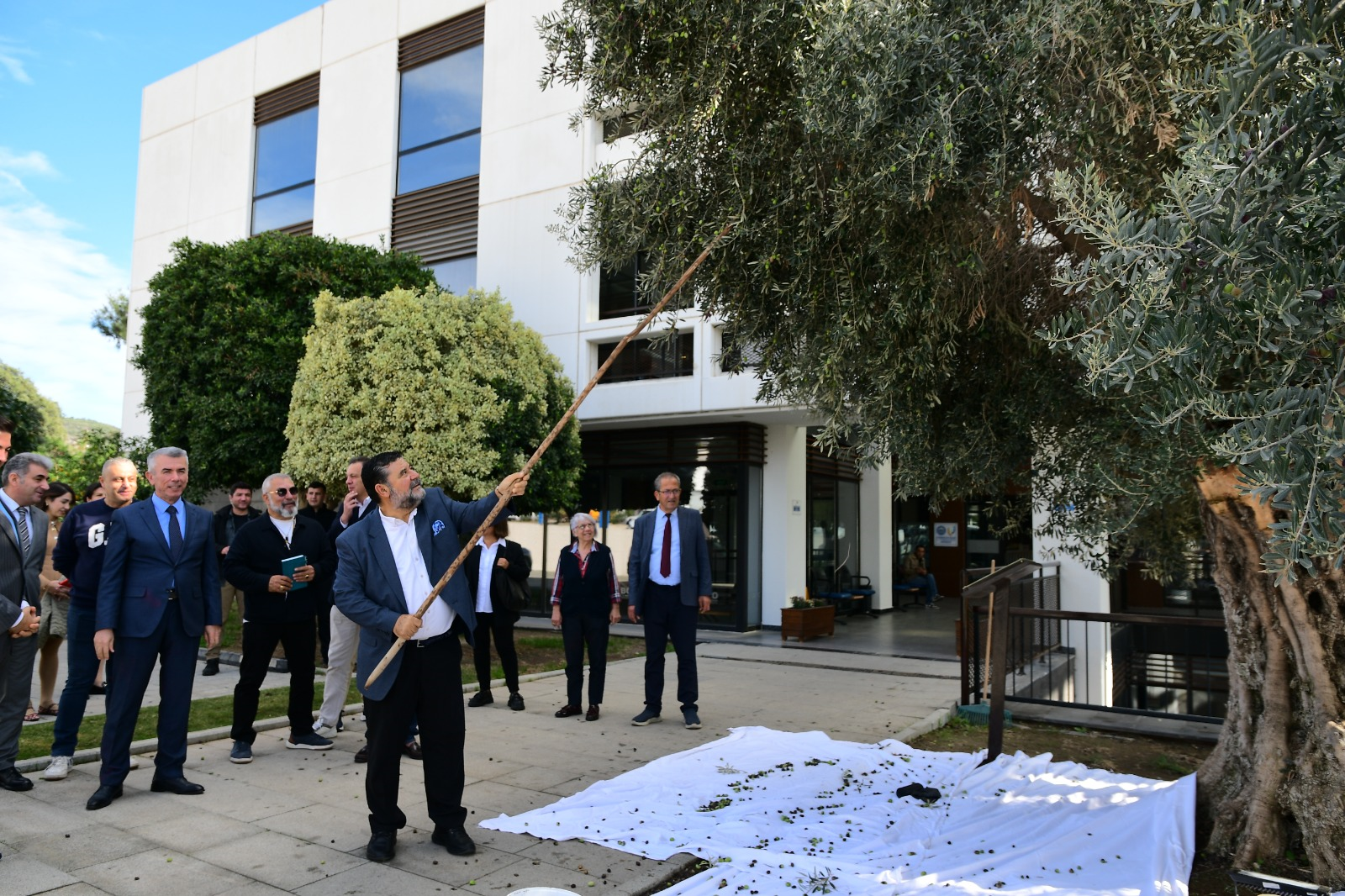 BODTO, 26 KASIM DÜNYA ZEYTİN AĞACI GÜNÜ’NÜ KUTLADI