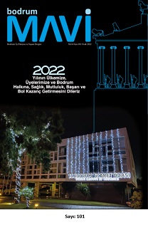 mavi_101-001.jpg